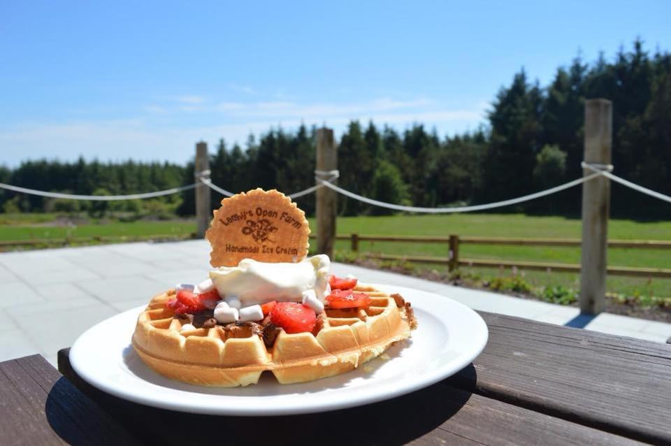 Leahys Pod Park Hotel Cork Kültér fotó
